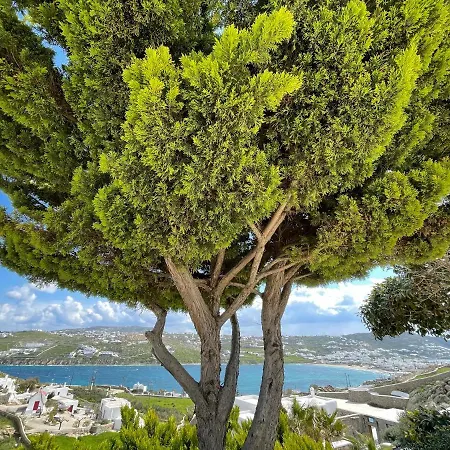 Yalos Mykonos Ornos Pouli Private W Shared Swimming Pool Appartamento