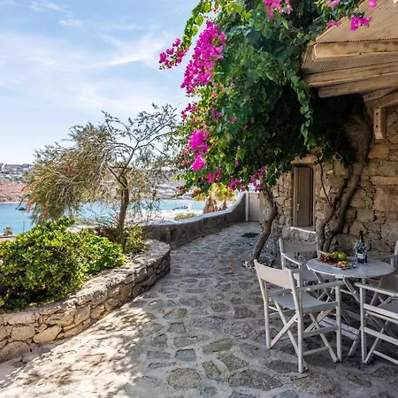 Apartment Yalos Mykonos Ornos Pouli Private W Shared Swimming Pool